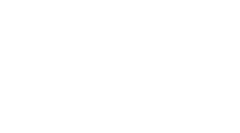 Netezza