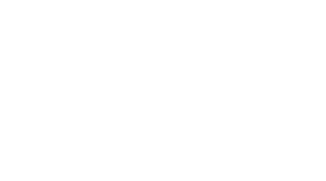 Qlik